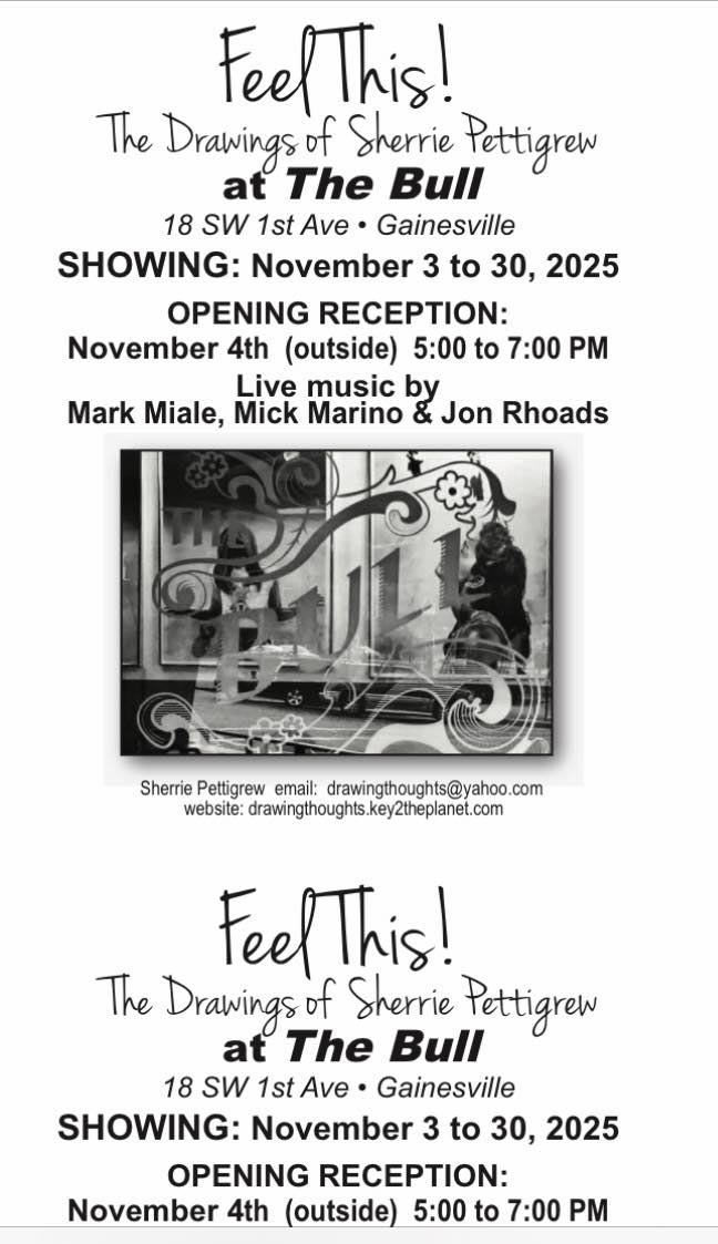 Sherrie Pettigrew art showing at the Bull, Gainesville